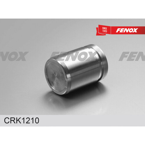 Поршень суппорта Hyundai Tucson JM 04- Поршень D34 ремкомплект тормозного суппорта FENOX CRK1210 цена за 1 шт 720₽