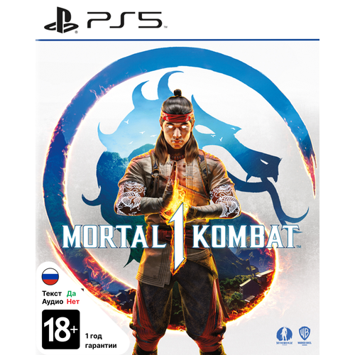 Игра для PS5 Mortal Kombat 1 5257₽