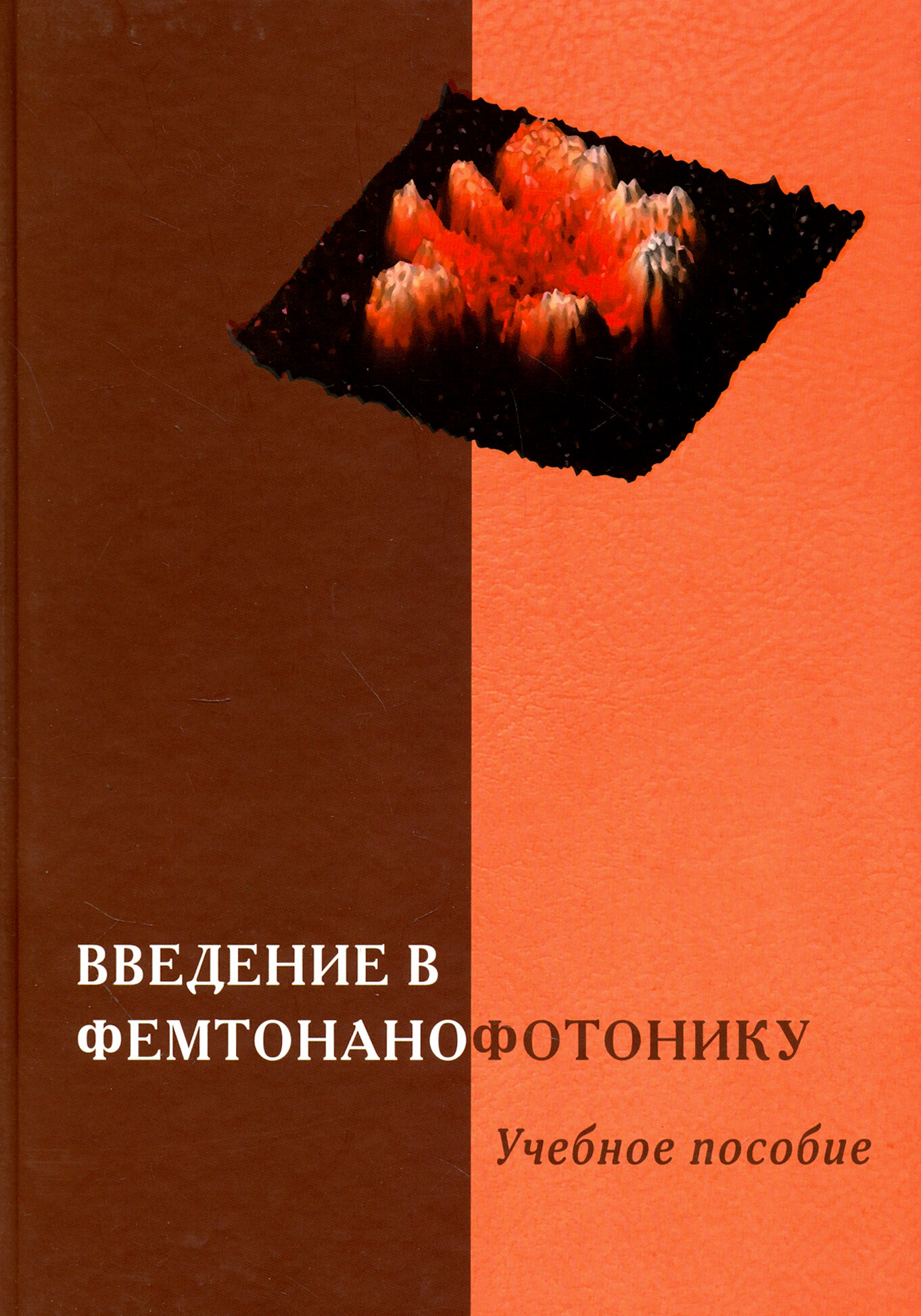 Введение в фемтонанофотонику. Фундаментальные основы и лазерные методы. Учебное пособие - фото №2