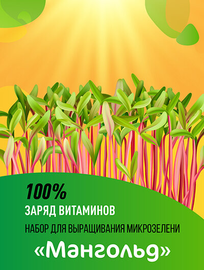 Набор для выращивания микрозелени "Мангольд" 5 гр.