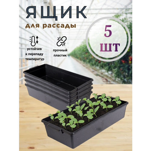 Набор ящиков для рассады 5 шт 432010 см 588₽