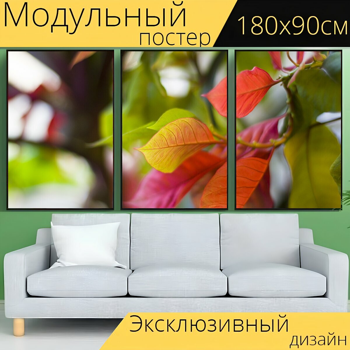 Модульный постер "Растение, листья, цветные листья" 180 x 90 см. для интерьера