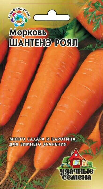 Семена Морковь Шантенэ Роял Ср. (гавриш) 2г Уд. с.