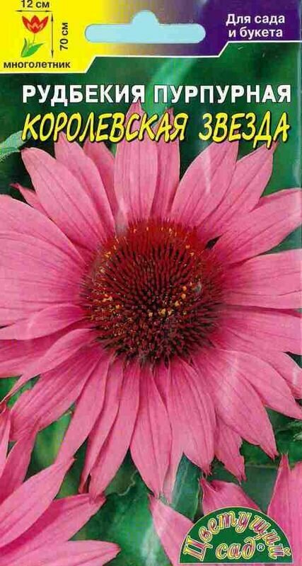 Семена Рудбекия Королевская звезда пурпурная (многолетние) (Цветущий Сад) 01г