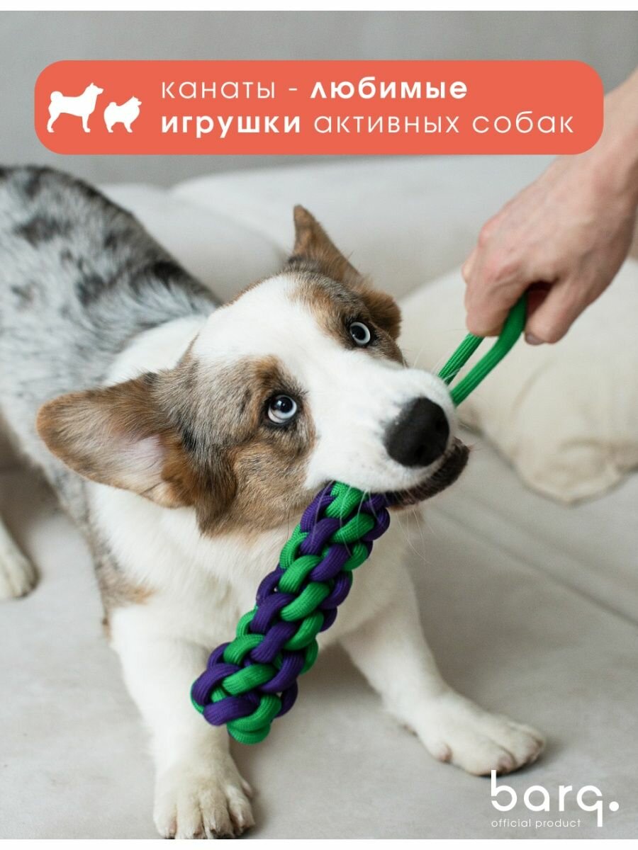 Barq Игрушка-канат - Cordo, Бирюзовый апельсин - фото №3