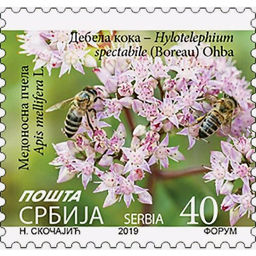 Почтовые марки Сербия 2019г. Цветок с пчелой Цветы, Пчелы MNH