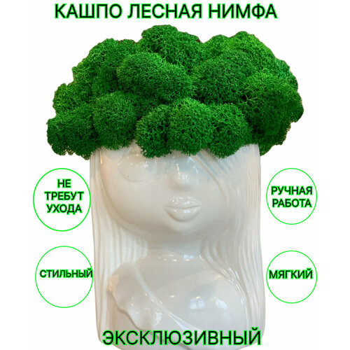Кашпо с мхом, Девочка с мхом, 11 см, стабилизированный мох в кашпо.