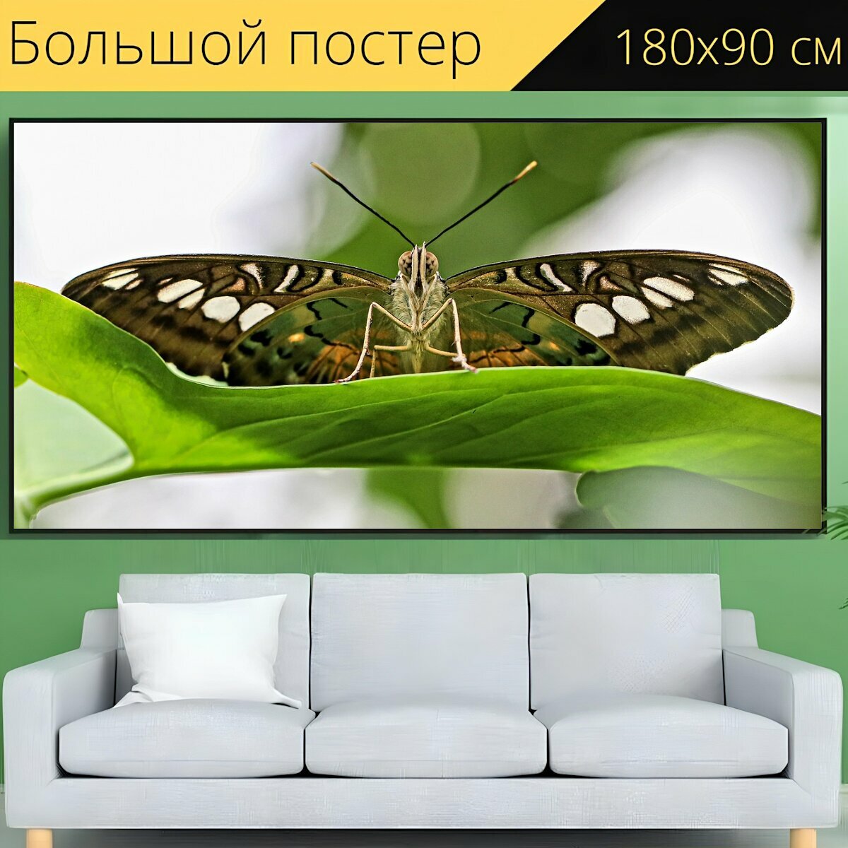 Большой постер "Бабочка, макрос, природа" 180 x 90 см. для интерьера