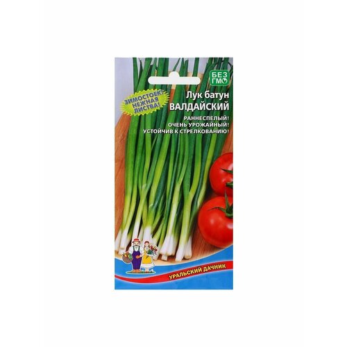 Семена Лук Валдайский, 0,5 г баклажаны валдайский погребок по болгарски 450 г