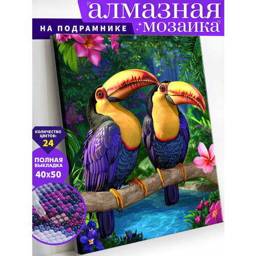 Алмазная мозаика на подрамнике 40х50 см 