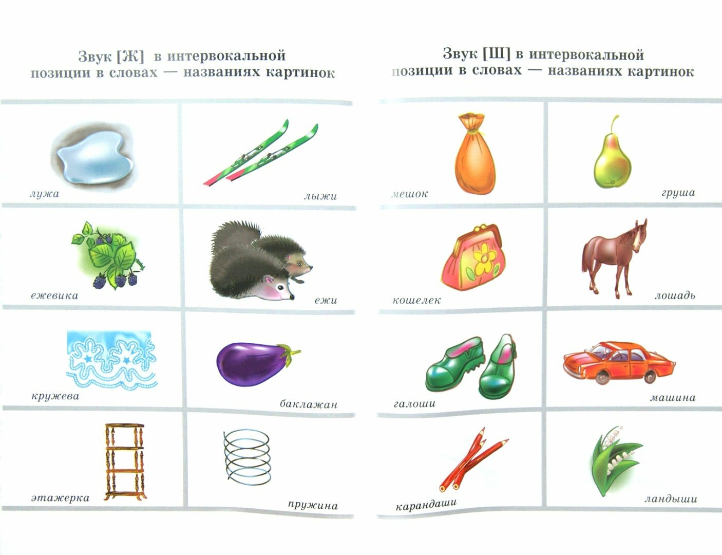 Вводим звуки в речь. Картотека для автоматизации звуков [Ш], [Ж]. Логопедам-практикам и внимательным родителям - фото №12