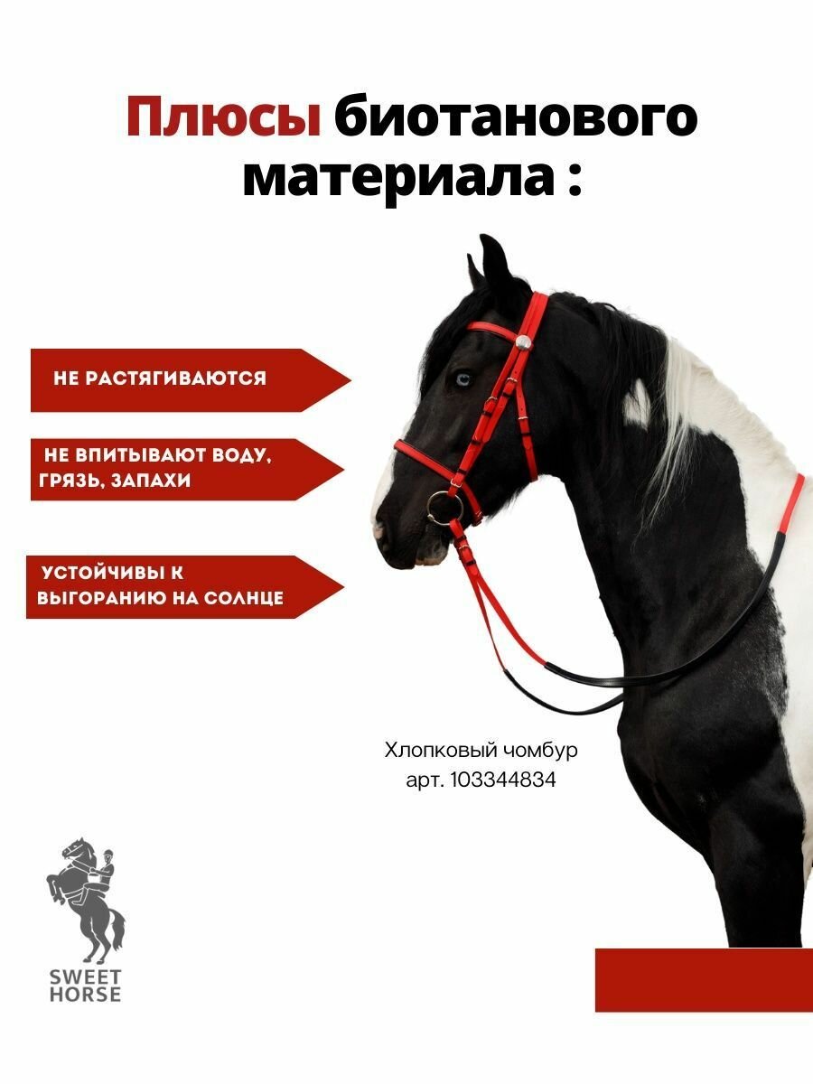 Sweethorse / Оголовье с капсюлем + повод + трензель, красный — фото 1