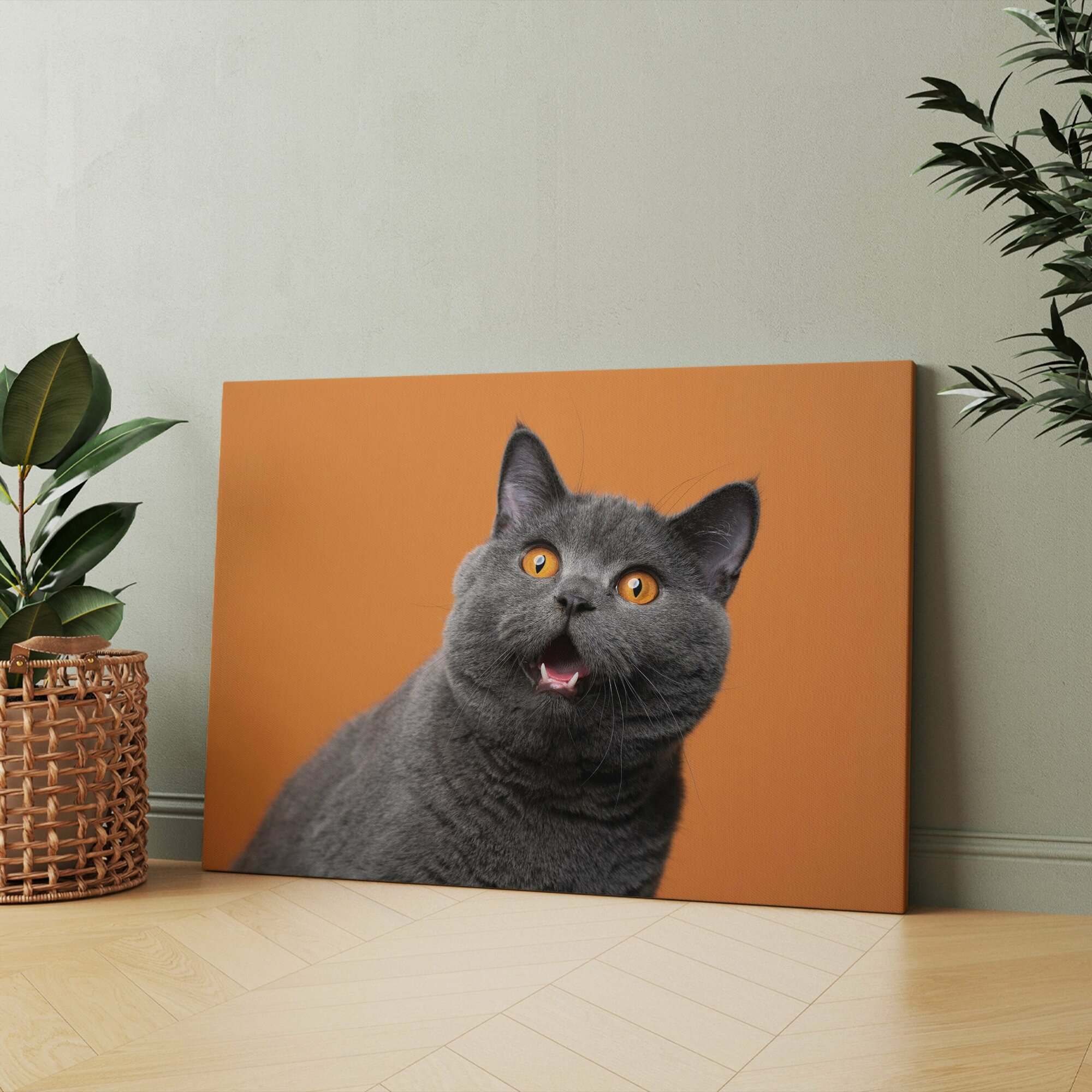 Картина на холсте (британская короткошерстная british shorthair cat серая) 20x30 см/для интерьера/в комнату/на стену/в подарок