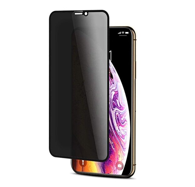 Защитное стекло с приват фильтром для iPhone 11 Pro / XS / X Nova Store