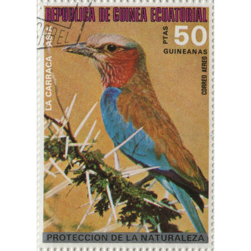 Марка Птицы Америки и Австралии. 1976 г. Лист. флаг 210х140 см экваториальная гвинея gorolla