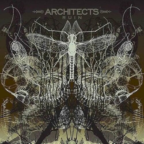 architects ruin lp виниловая пластинка ARCHITECTS - RUIN (LP) виниловая пластинка