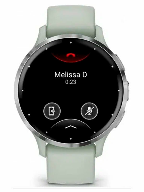 Часы Garmin VENU 3S SILVER SS BEZEL W/ SAGE GRAY CASE AND SILICONE BAND (010-02785-01) — фото 1