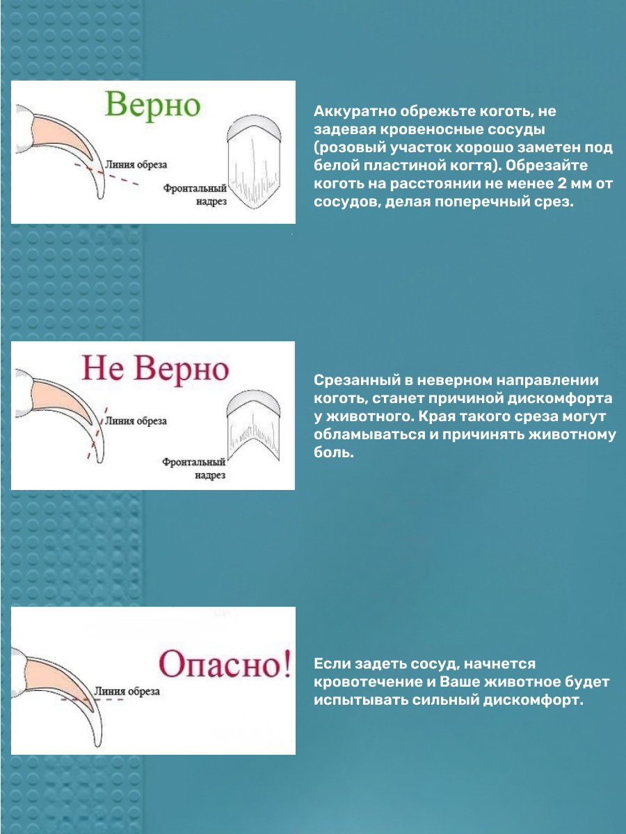 Когтерезка для собак мелких и средних пород. Для кошек. Ножницы для стрижки когтей. Когтерез для груминга. Длина 12 см - размер М.