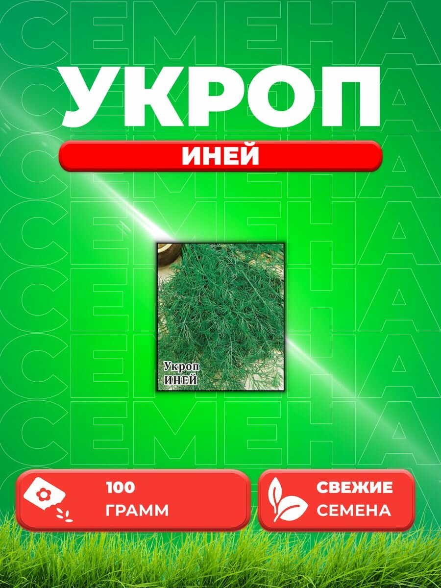 Укроп Иней 100,0 г