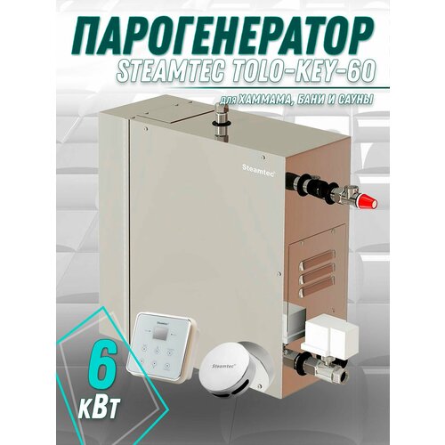Парогенератор для хамама и турецкой бани Steamtec TOLO-60-KEY 6 кВт влагостойкий модуль управления 9537000₽