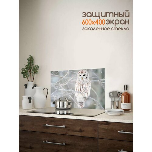 Фартук кухонный на стену 400х600мм защитный экран