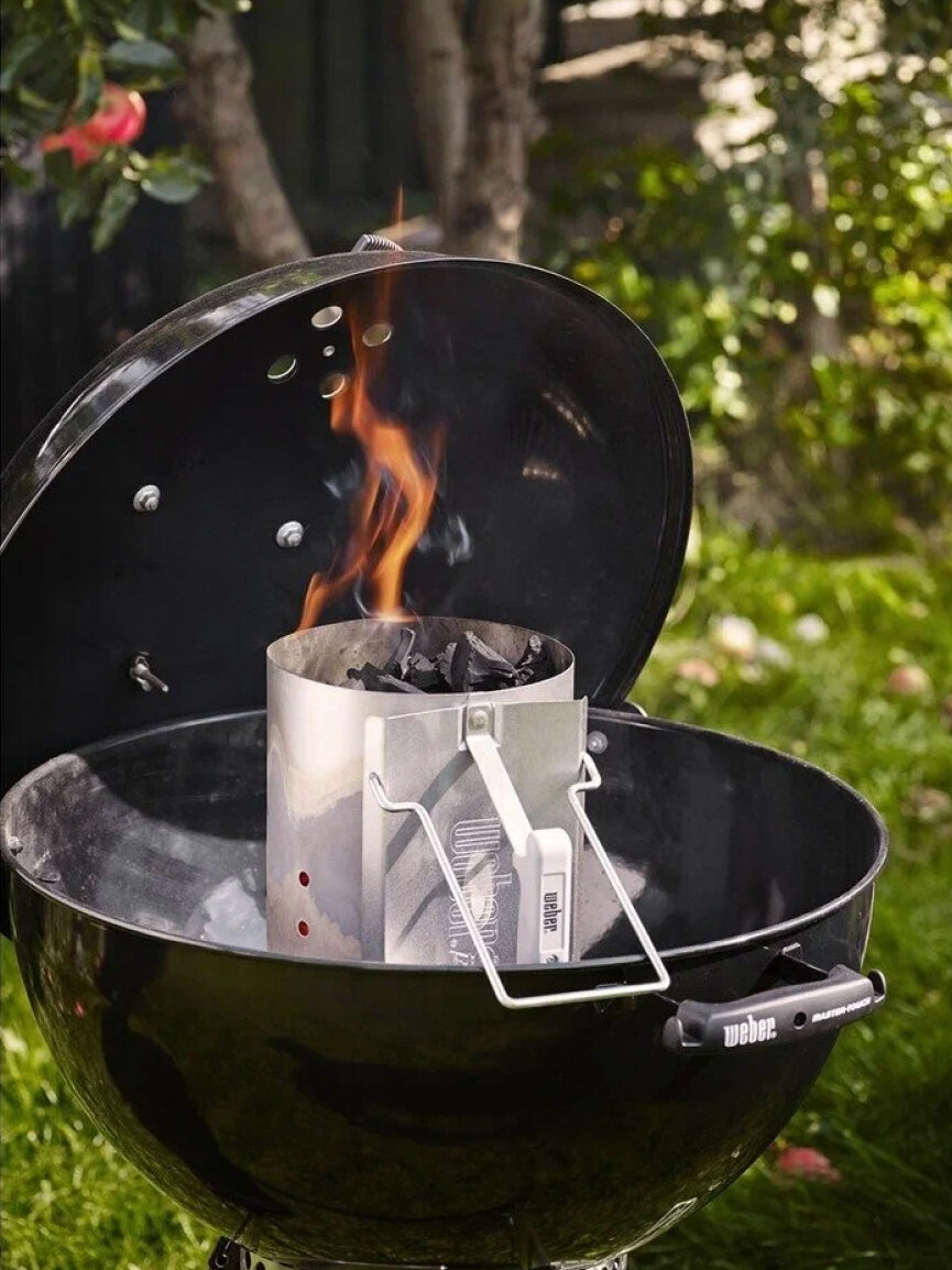 Набор для розжига Weber 17631 — фото 1