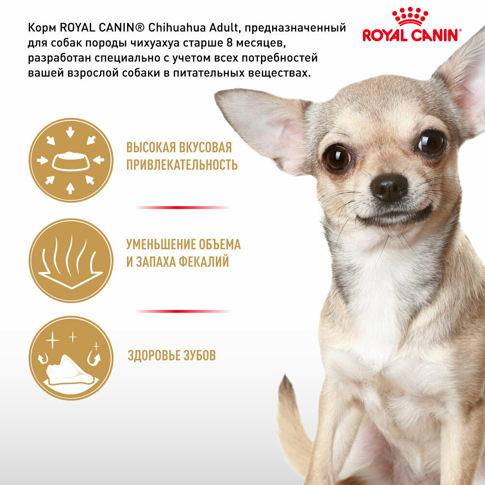 Royal Canin Chihuahua Adult для собак породы чихуахуа Курица, 500 г. — фото 1