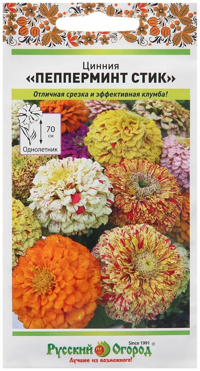 Семена цветов Цинния Пеперминт Стик 30 шт