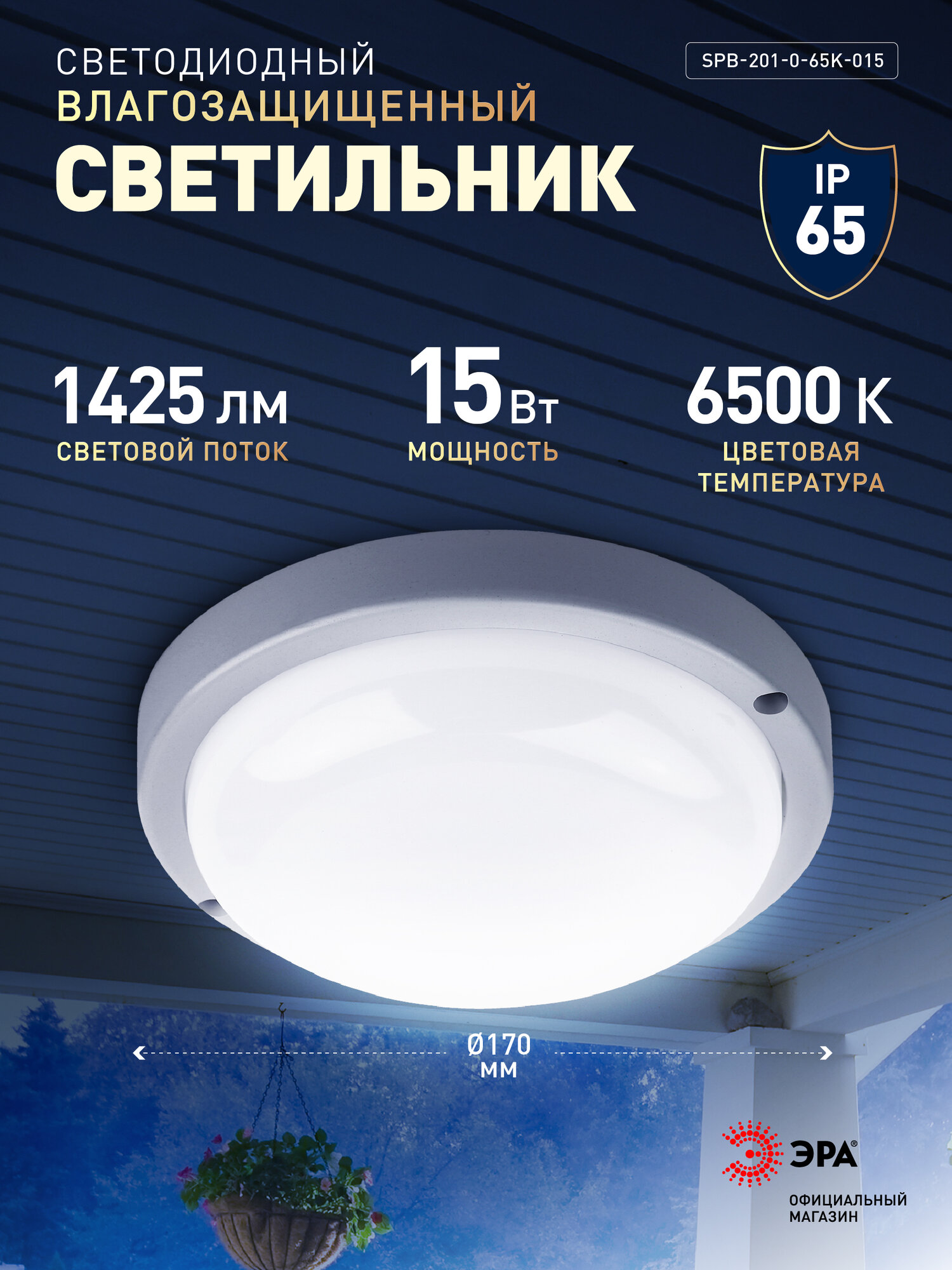 Настенно-потолочный светильник светодиодный уличный ЭРА влагозащищенный IP65 ЖКХ 6500К 1425 Лм 15 Вт D175мм
