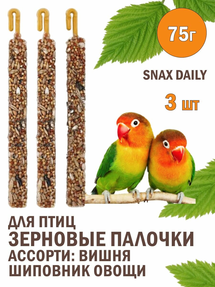 Snax Зерновые палочки для птиц ассорти вишня шиповник овощи 3шт 75г