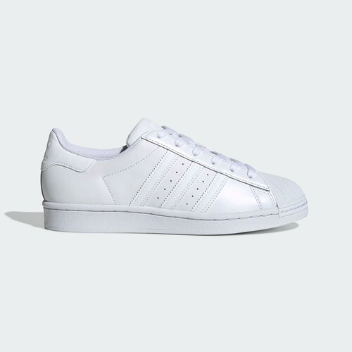 Кеды adidas Originals, размер 4,5 UK, белый