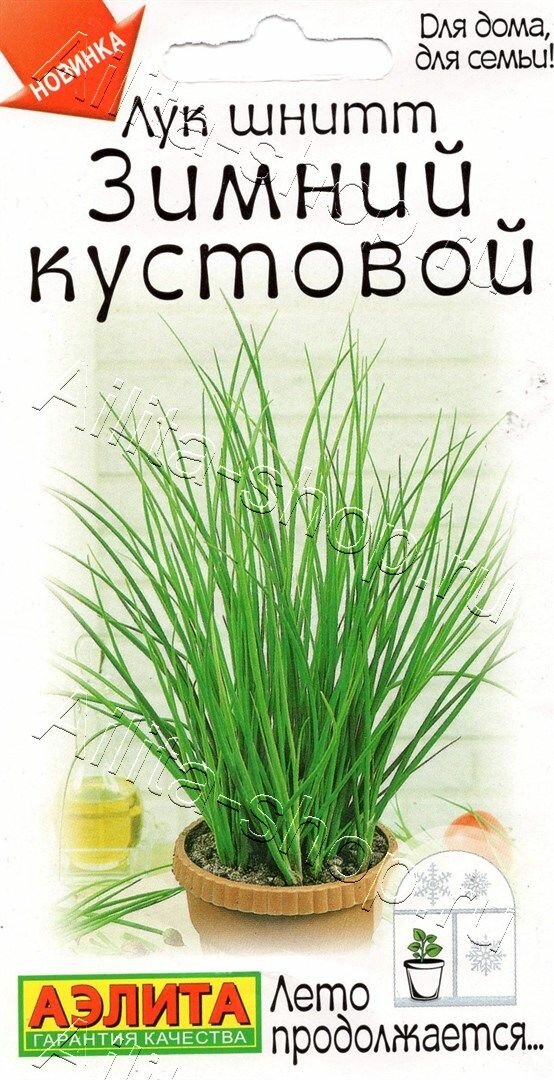 Семена лука шнитта Аэлита 