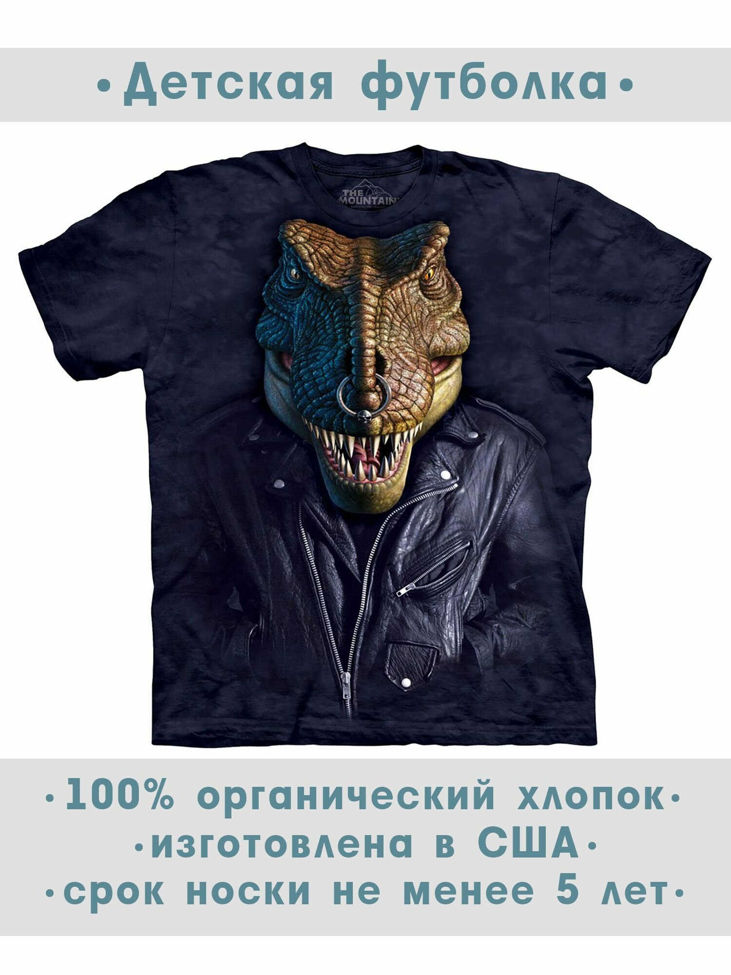 Футболка детская The Mountain "Nas T-Rex"