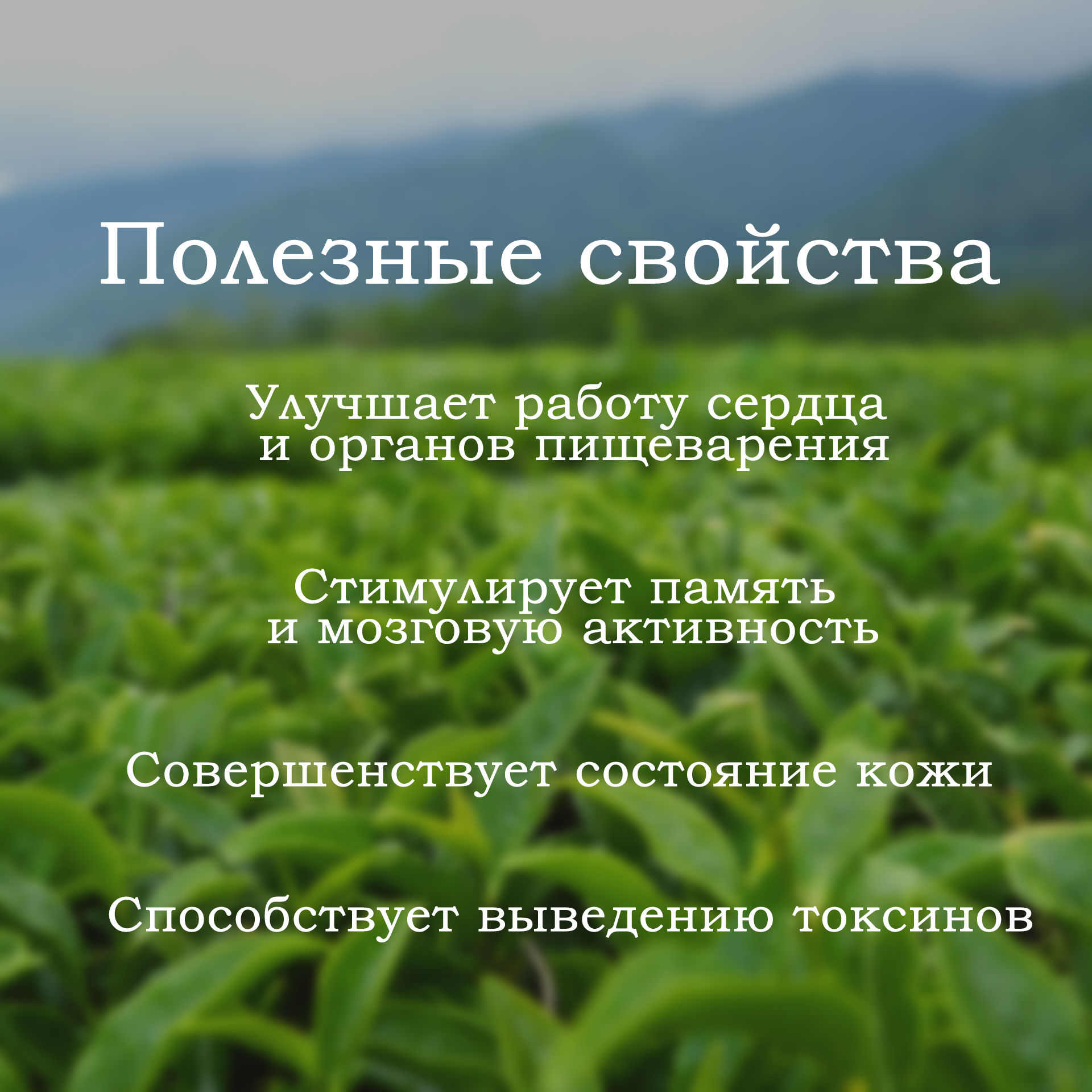 Чай Первая Чайная Компания Персиковый улун зеленый 165г - фото №8