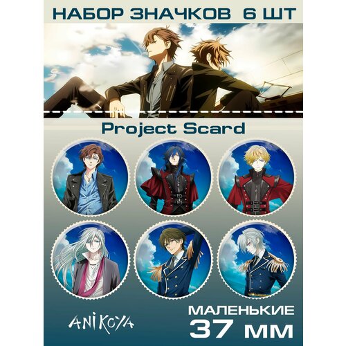 фото Значки на рюкзак проект скард project scard anikoya