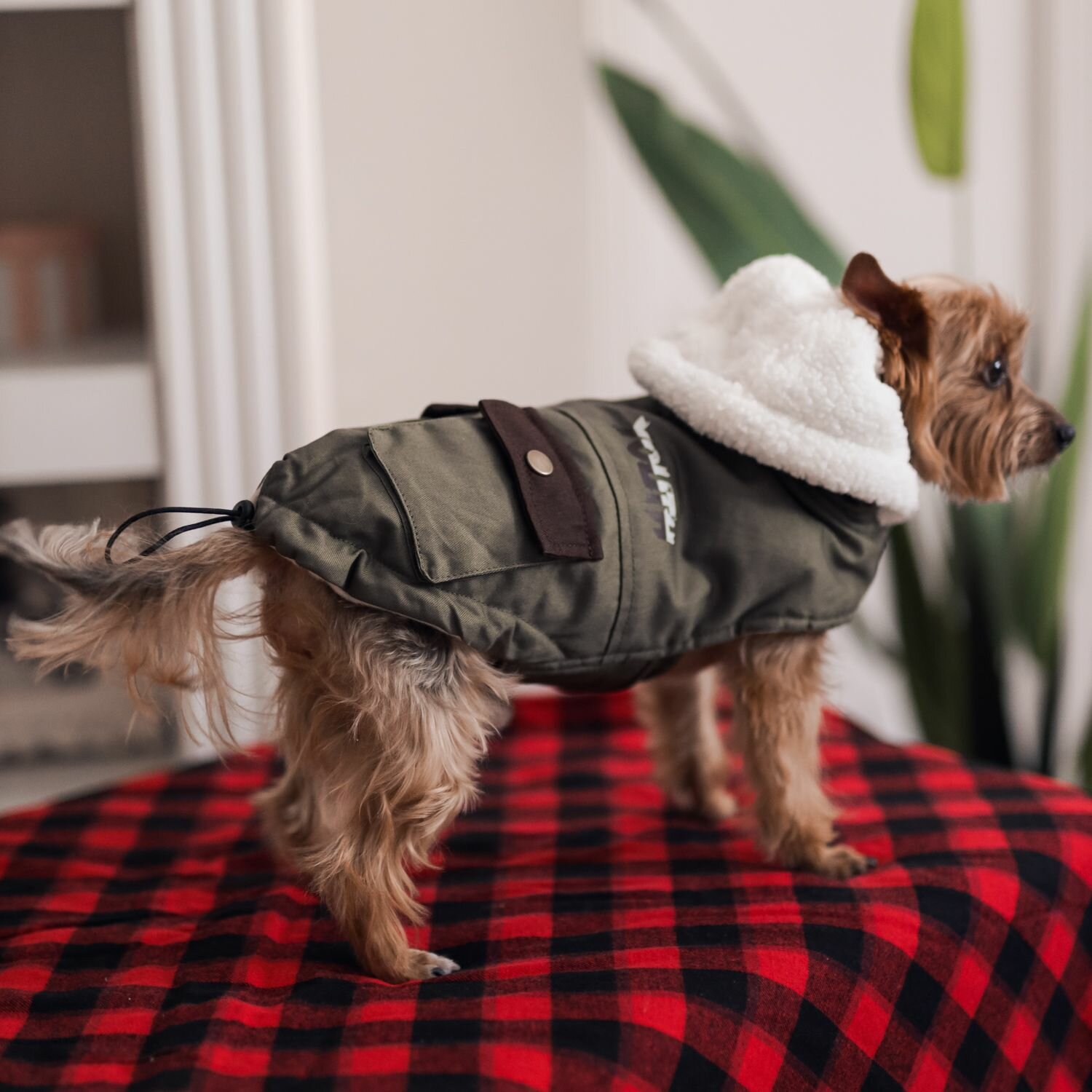 Куртка/жилет для собак, одежда для собак, "Не Один Дома" Малахит, зеленый, длина спинки - 30 см
