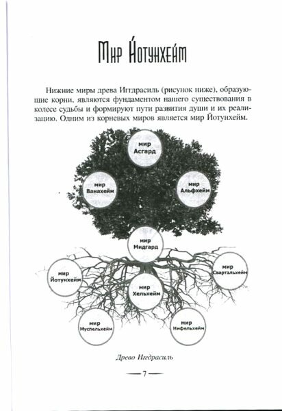 Гримуар Йотунхейм (Андрей Дельян) - фото №8