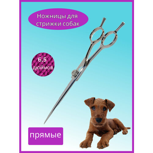 Ножницы прямые Three Darts TD-8A65 6,5(16,5см) для стрижки собак и кошек