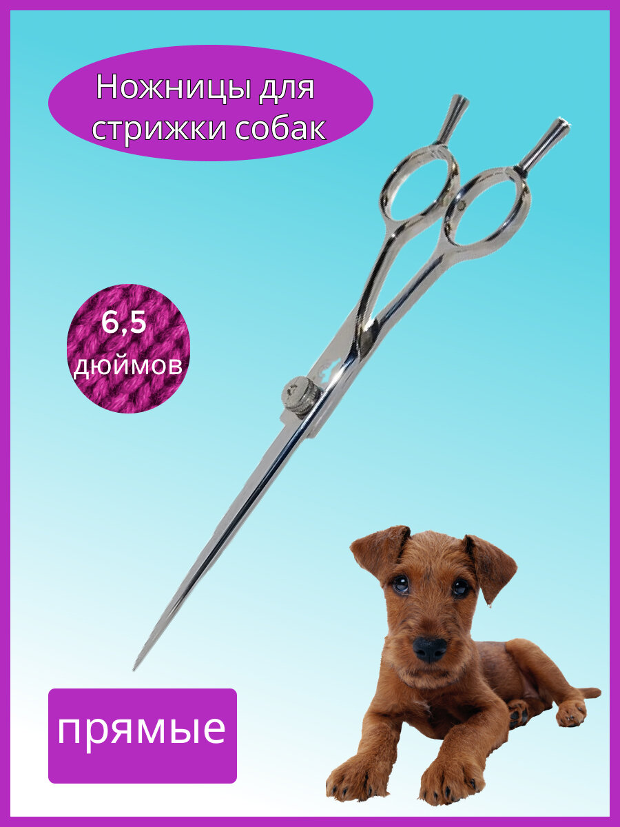 Ножницы прямые Three Darts TD-8A65 65"(165см) для стрижки собак и кошек