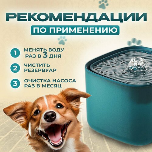 фото Поилка для кошек и собак, фонтанчик питьевой trendeks