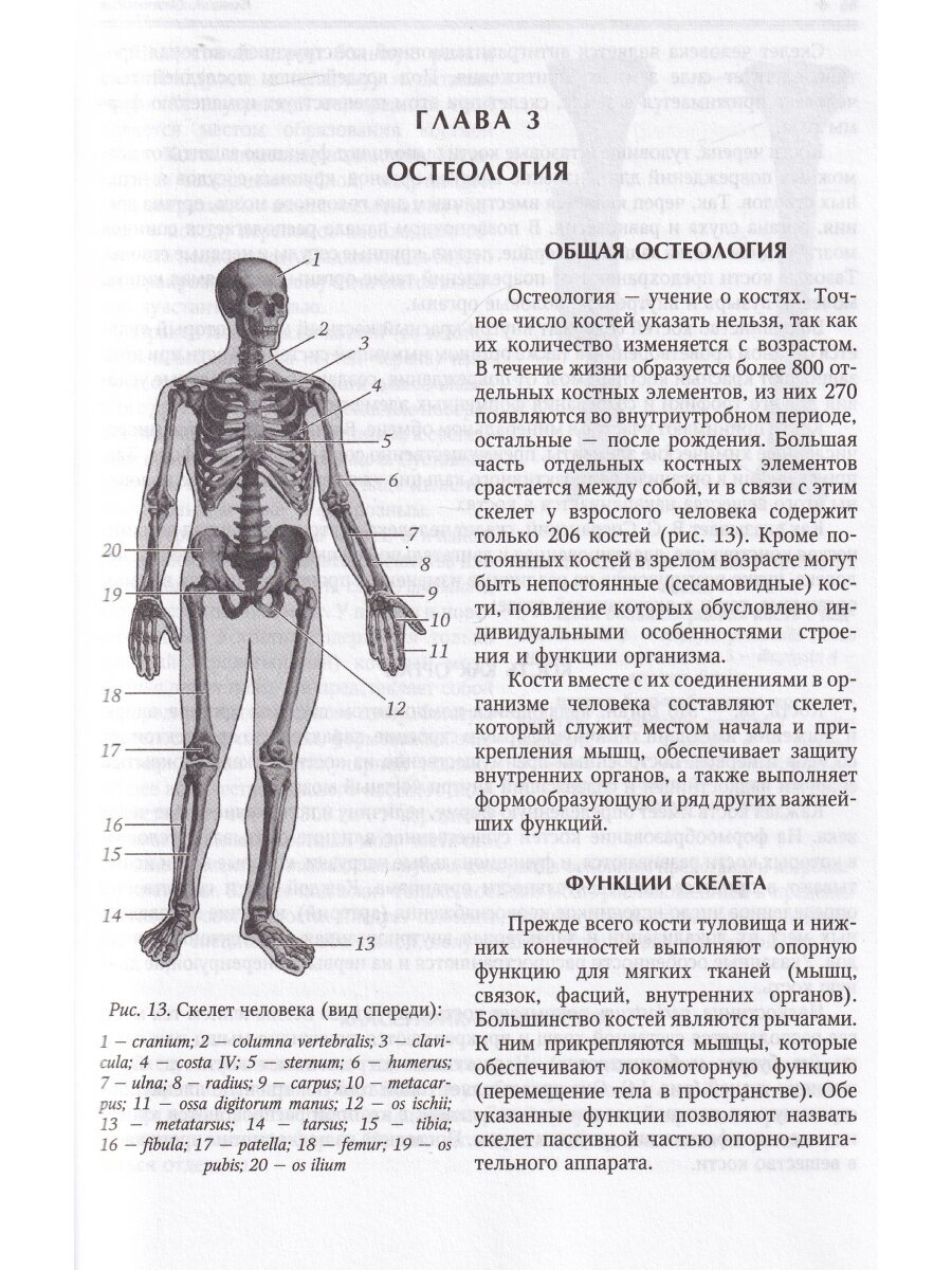 Нормальная анатомия человека. Том 1 - фото №4