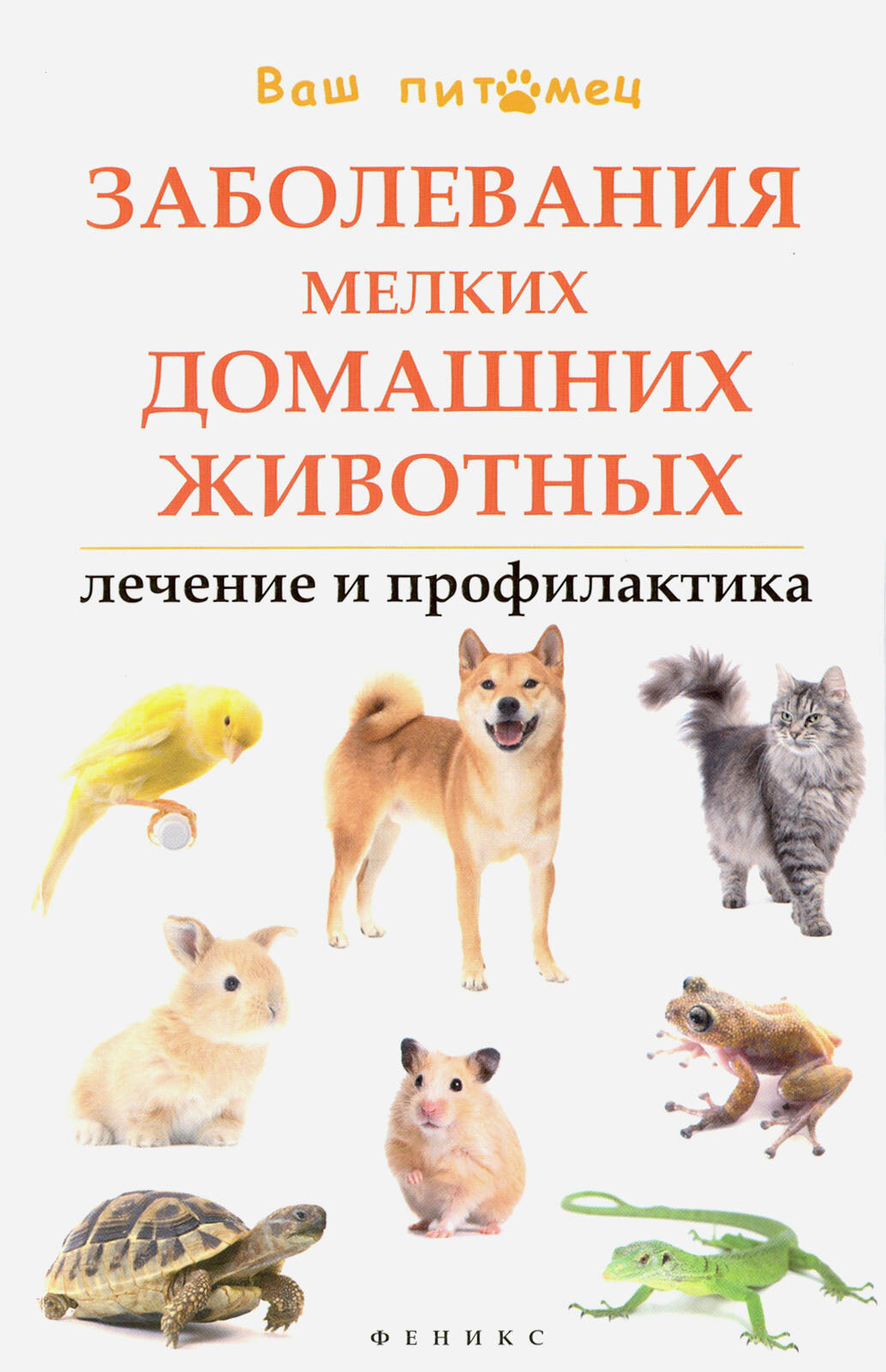 Заболевания мелких домашних животных. Лечение и профилактика - фото №2