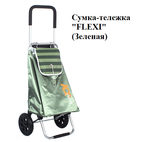 Сумка-тележка Joy Home G-F45G, 30 л, 39.5х102х32 см, ручная кладь, зеленый