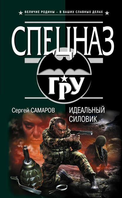 Идеальный силовик [Цифровая книга]