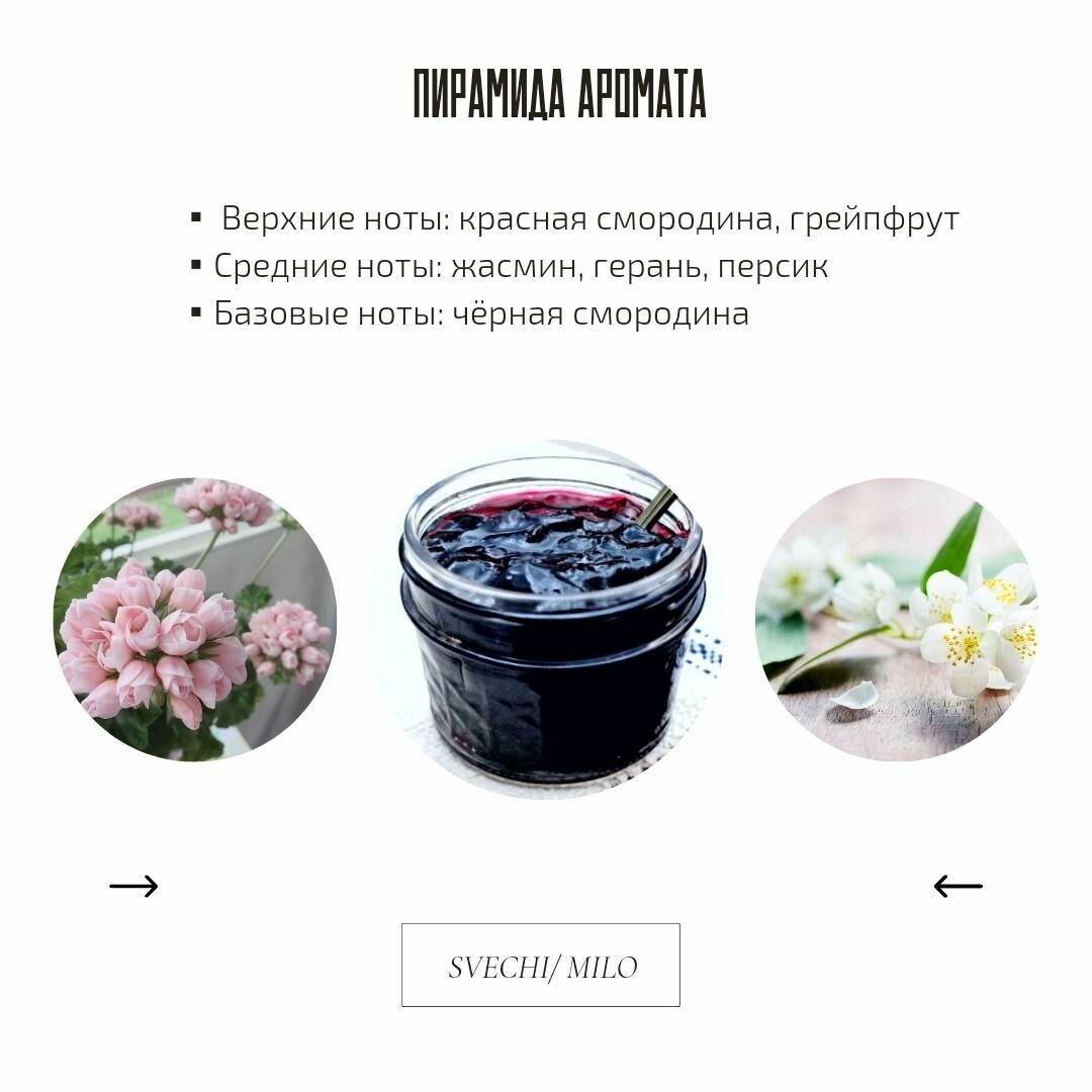 Отдушка "Лист чёрной смородины" 20 мл для свечей, мыла и диффузоров — фото 1