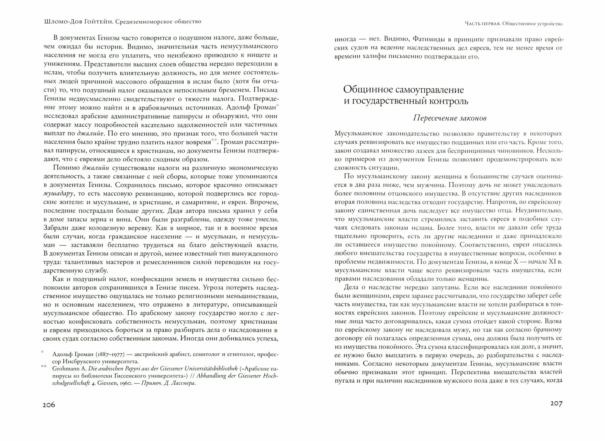 Средиземноморское общество (Гойтейн Шломо-Дов) - фото №3