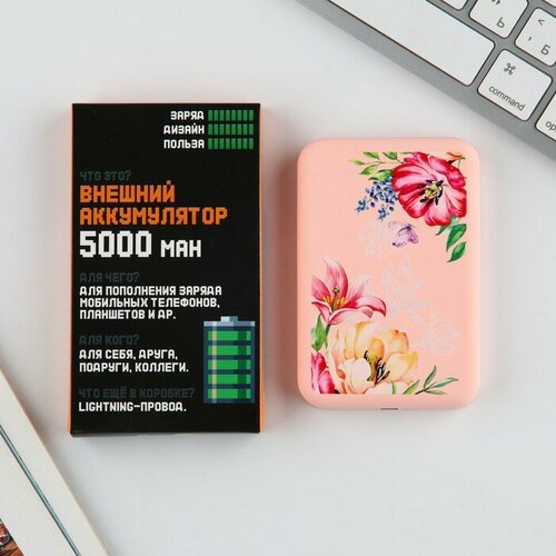 Зарядное устройство Цветы 5000мА мод PB-03 96 х 64 см 157400₽