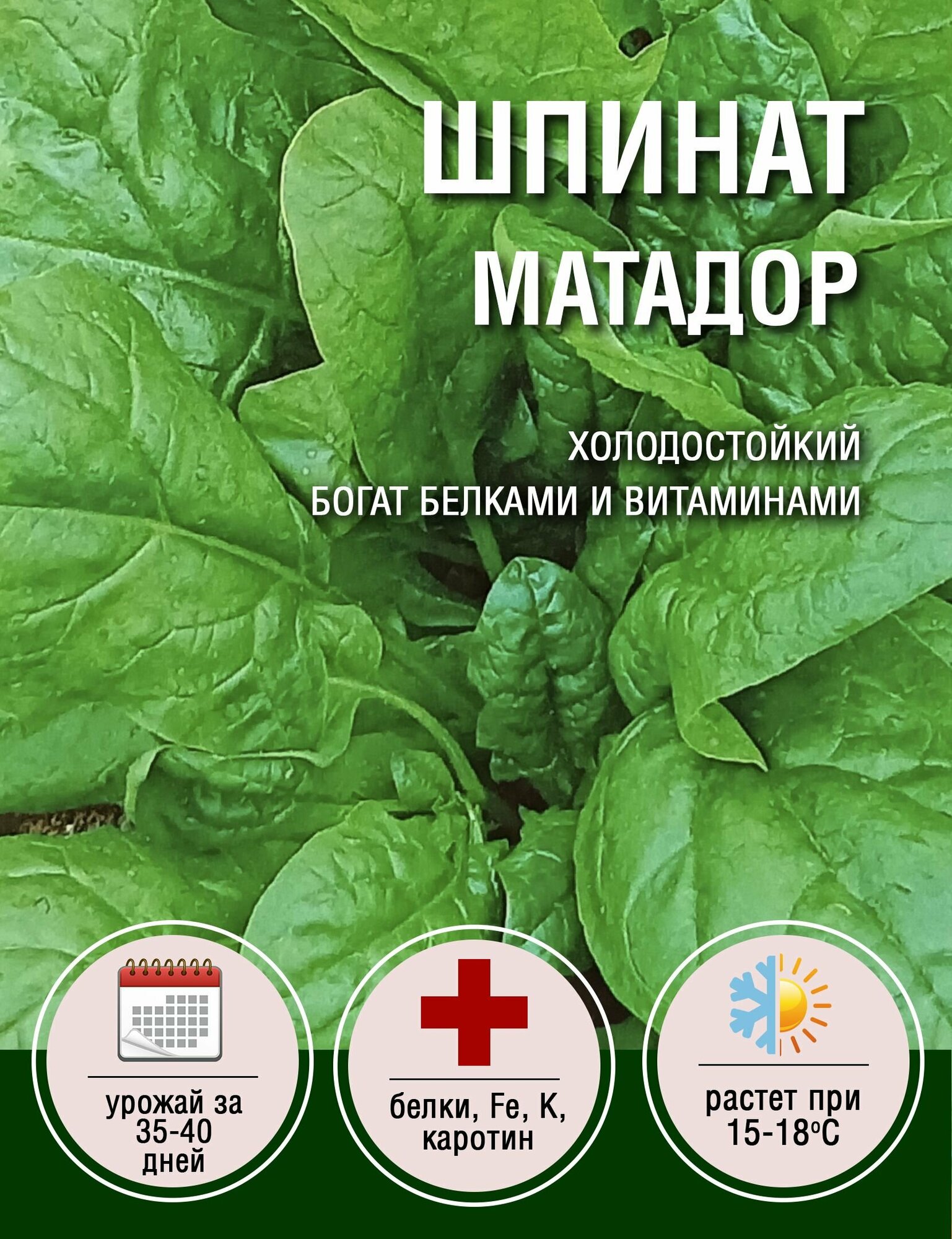 Шпинат Матадор (1 пакет по 2гр)