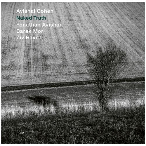 Виниловая пластинка AVISHAI COHEN QUARTET / NAKED TRUTH (1LP)