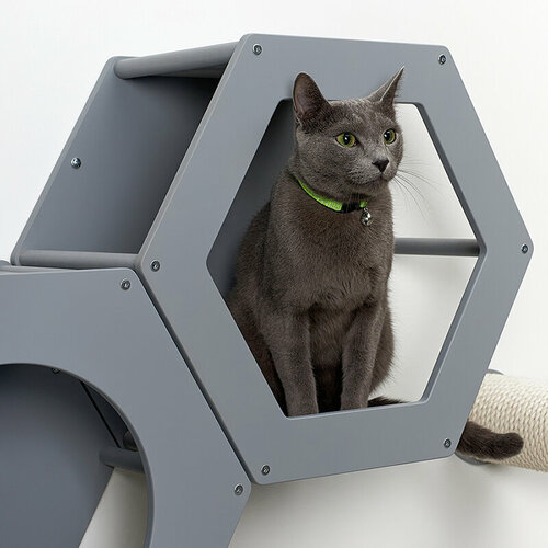 Сота для настенного игрового комплекса для кошек с шестигранным окошком, серый
